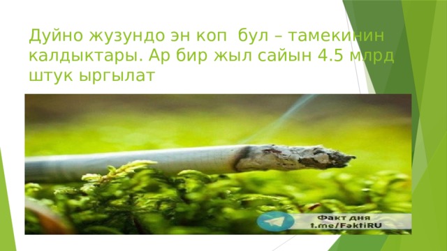 Дуйно жузундо эн коп бул – тамекинин калдыктары. Ар бир жыл сайын 4.5 млрд штук ыргылат 