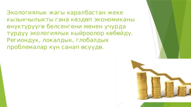 Экологиялык жагы каралбастан жеке кызыкчылыкты гана көздөп экономиканы өнүктүрүүгө белсенгени менен учурда түрдүү экологиялык кыйроолор көбөйдү. Региондук, локалдык, глобалдык проблемалар күн санап өсүүдө. 