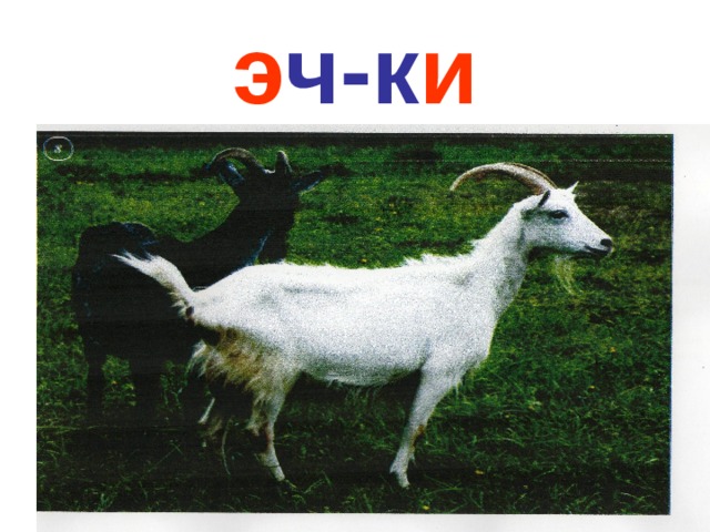 э ч-к и 