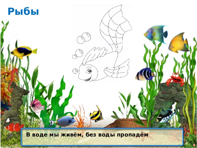 Рыбы В воде мы живём, без воды пропадём 