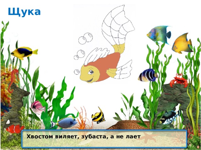 Щука Хвостом виляет, зубаста, а не лает 