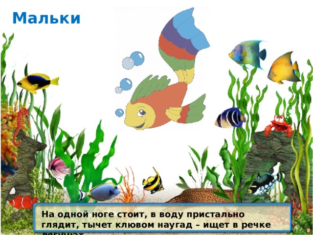 Мальки На одной ноге стоит, в воду пристально глядит, тычет клювом наугад – ищет в речке лягушат 