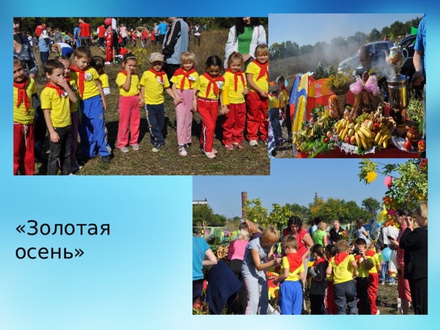 «Золотая осень» 
