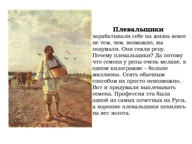 Плевальщики зарабатывали себе на жизнь вовсе не тем, чем, возможно, вы подумали. Они сеяли репу. Почему плевальщики? Да потому что семена у репы очень мелкие, в одном килограмме – больше миллиона. Сеять обычным способом их просто невозможно. Вот и придумали выплевывать семена. Профессия эта была одной из самых почетных на Руси, а хорошие плевальщики ценились на вес золота.    