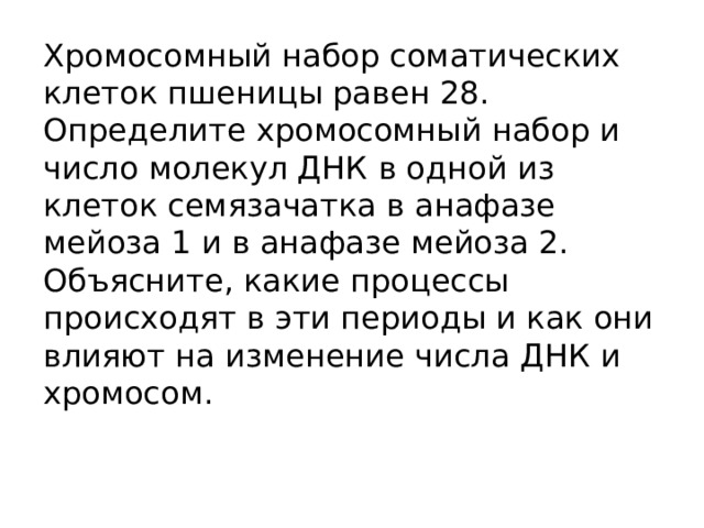 Хромосомный набор соматических клеток пшеницы равен 28. Определите хромосомный набор и число молекул ДНК в одной из клеток семязачатка в анафазе мейоза 1 и в анафазе мейоза 2. Объясните, какие процессы происходят в эти периоды и как они влияют на изменение числа ДНК и хромосом. 