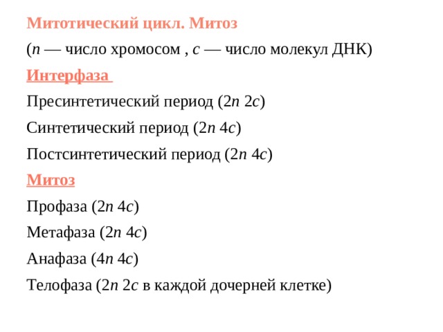 Митотический цикл. Митоз ( n  — число хромосом ,  с  — число молекул ДНК) Интерфаза   Пресинтетический период (2 n  2 c ) Синтетический период (2 n  4 c ) Постсинтетический период (2 n  4 c ) Митоз Профаза (2 n  4 c ) Метафаза (2 n  4 c ) Анафаза (4 n  4 c ) Телофаза (2 n  2 c  в каждой дочерней клетке) 