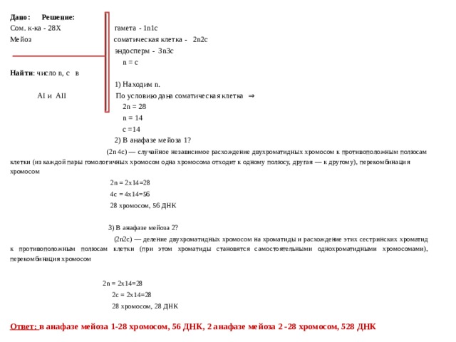 Дано:  Решение: Сом. к-ка - 28Х гамета - 1n1с Мейоз соматическая клетка - 2n2с    эндосперм - 3n3с  n = с Найти : число n, c в  1) Находим n.  АI и AII По условию дана соматическая клетка ⇒  2n = 28  n = 14  с =14  2) В анафазе мейоза 1?  (2n 4c) — случайное независимое расхождение двухроматидных хромосом к противоположным полюсам клетки (из каждой пары гомологичных хромосом одна хромосома отходит к одному полюсу, другая — к другому), перекомбинация хромосом  2n = 2х14=28  4c = 4х14=56  28 хромосом, 56 ДНК  3) В анафазе мейоза 2?  (2n2с) — деление двухроматидных хромосом на хроматиды и расхождение этих сестринских хроматид к противоположным полюсам клетки (при этом хроматиды становятся самостоятельными однохроматидными хромосомами), перекомбинация хромосом  2n = 2х14=28  2c = 2х14=28  28 хромосом, 28 ДНК   Ответ: в анафазе мейоза 1-28 хромосом, 56 ДНК, 2 анафазе мейоза 2 -28 хромосом, 528 ДНК 