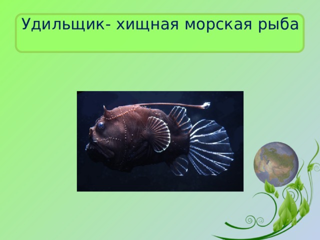 Удильщик- хищная морская рыба 