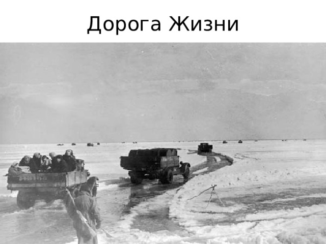 Дорога Жизни 