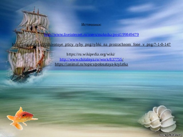 Источники:   http://www.liveinternet.ru/users/maknika/post199849479   http://png.at.ua/publ/zhivotnye_pticy_ryby_png/rybki_na_prozrachnom_fone_v_png/7-1-0-147     https://ru.wikipedia.org/wiki/   http://www.chitalnya.ru/work/837755 /  https://ianimal.ru/topics/polosataya-krylatka    