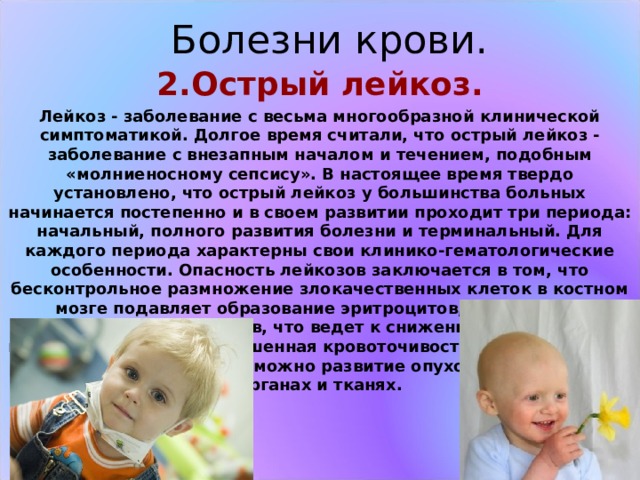 Болезни крови. 2.Острый лейкоз. Лейкоз - заболевание с весьма многообразной клинической симптоматикой. Долгое время считали, что острый лейкоз - заболевание с внезапным началом и течением, подобным «молниеносному сепсису». В настоящее время твердо установлено, что острый лейкоз у большинства больных начинается постепенно и в своем развитии проходит три периода: начальный, полного развития болезни и терминальный. Для каждого периода характерны свои клинико-гематологические особенности. Опасность лейкозов заключается в том, что бесконтрольное размножение злокачественных клеток в костном мозге подавляет образование эритроцитов, нормальных лейкоцитов и тромбоцитов, что ведет к снижению их содержания в крови; появляется повышенная кровоточивость, возрастает риск тяжелых инфекций и возможно развитие опухолей в различных органах и тканях.
