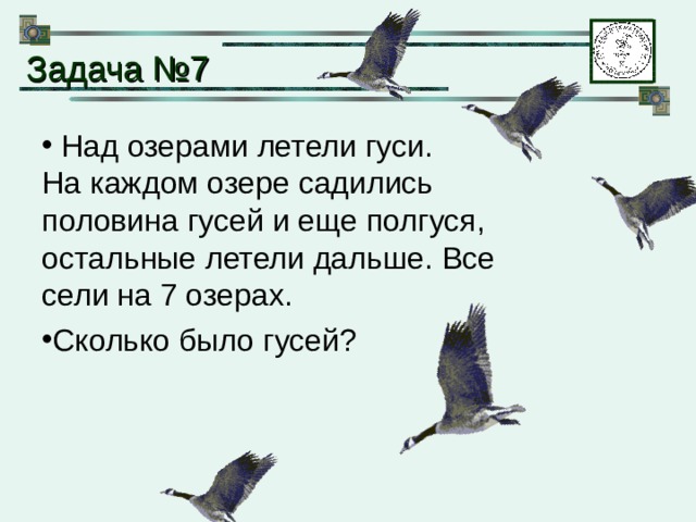 Задача № 7  Над озерами летели гуси.  На каждом озере садились половина гусей и еще полгуся, остальные летели дальше. Все сели на 7 озерах. Сколько было гусей? 