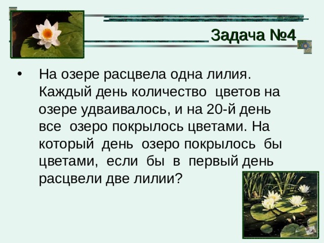  Задача № 4 На озере расцвела одна лилия. Каждый день количество цветов на озере удваивалось, и на 20-й день все озеро покрылось цветами. На который день озеро покрылось бы цветами, если бы в первый день расцвели две лилии? 