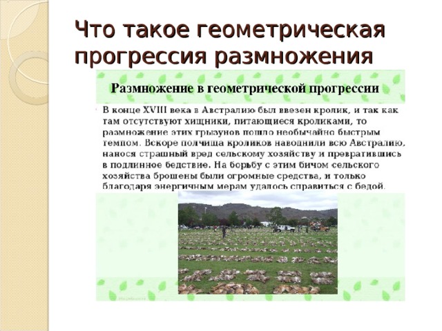 Что такое геометрическая прогрессия размножения