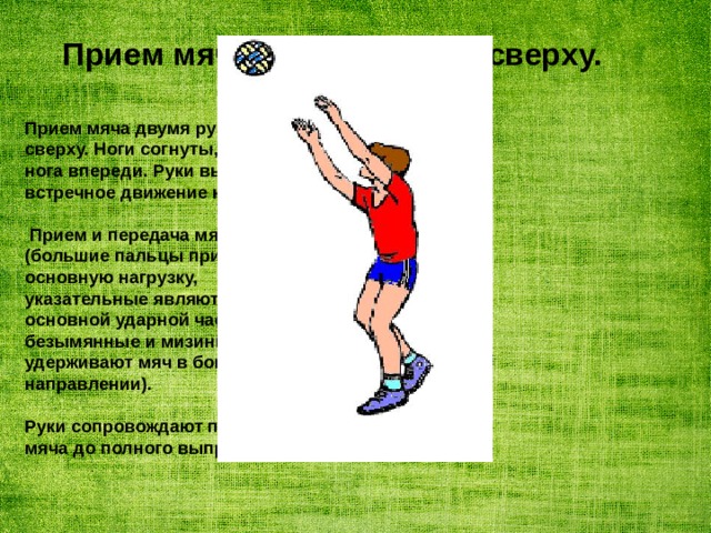 Прием мяча двумя руками сверху. Прием мяча двумя руками сверху. Ноги согнуты, одна нога впереди. Руки выполняют встречное движение к мячу.   Прием и передача мяча (большие пальцы принимают основную нагрузку, указательные являются основной ударной частью, безымянные и мизинцы удерживают мяч в боковом направлении).  Руки сопровождают полет мяча до полного выпрямления. 