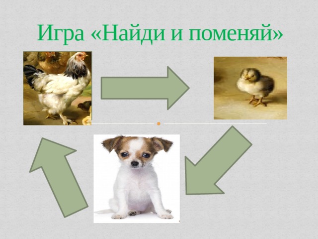 Игра «Найди и поменяй» 
