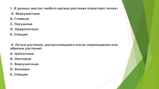 5 . В разных местах любого органа растения отрастают почки :  А. Верхушечные В. Главные С. Пазушные D. Придаточные Е. Спящие   6. Почки растения, распускающиеся после повреждения или обрезки растений : А. Цветочные В. Листовые С. Верхушечные D. Боковые Е. Спящие  