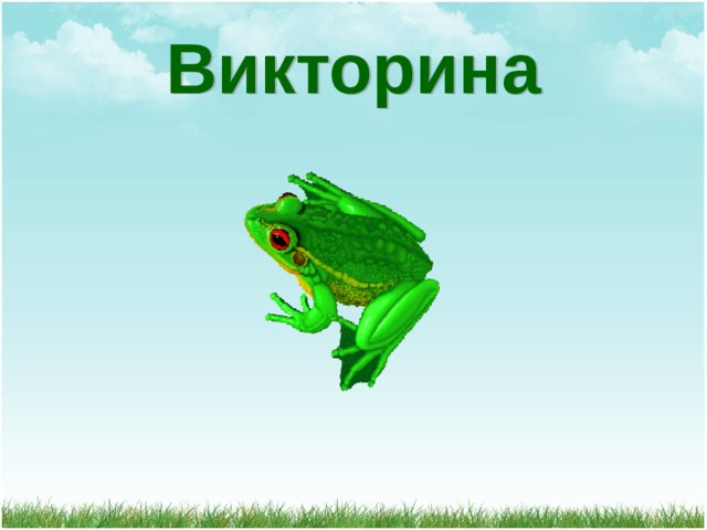 Викторина 