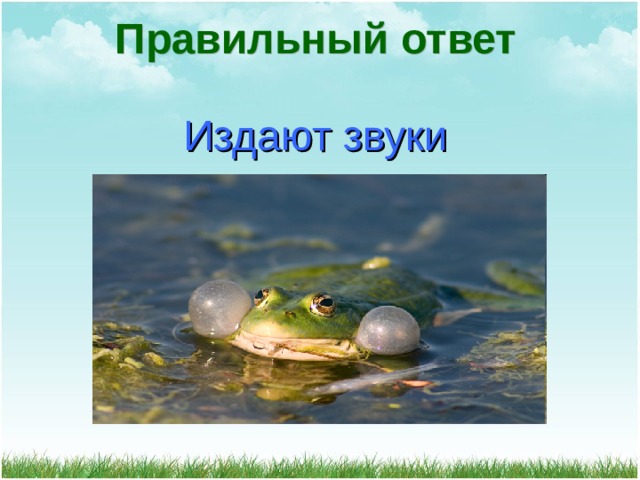 Правильный ответ Издают звуки 