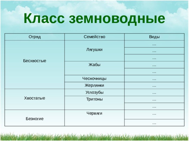 Класс земноводные Отряд Семейство Бесхвостые Виды Лягушки … … Жабы … … Чесночницы … Хвостатые … Жерлянки Углозубы … … Тритоны … Безногие … Червяги … … 