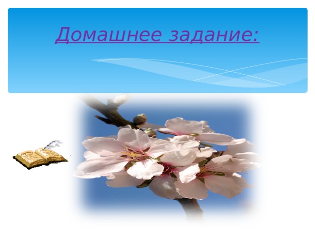 Домашнее задание:   