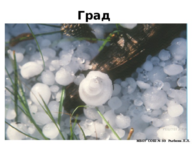 Град МБОУ СОШ № 33 Рыбина Л.Л. 