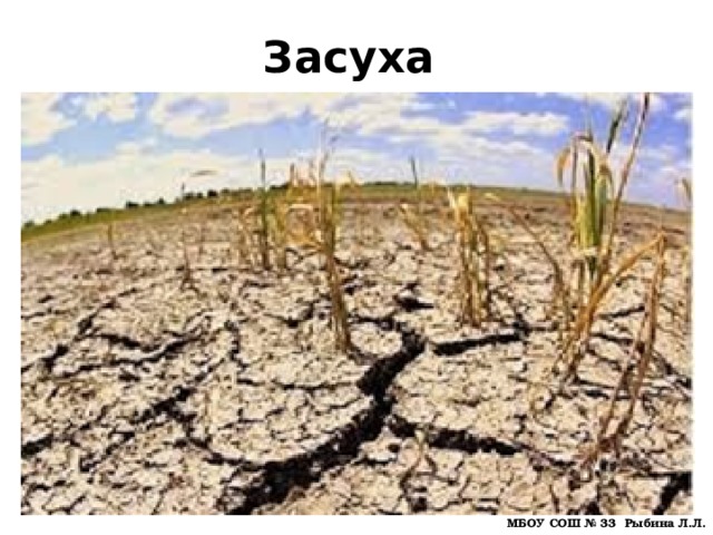 Засуха МБОУ СОШ № 33 Рыбина Л.Л. 