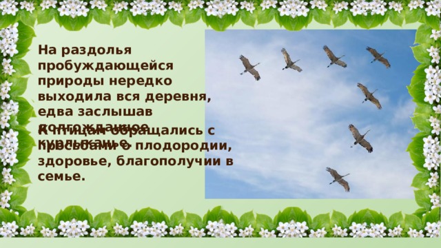 На раздолья пробуждающейся природы нередко выходила вся деревня, едва заслышав долгожданное курлыканье. К птицам обращались с просьбами о плодородии, здоровье, благополучии в семье. 