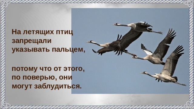 На летящих птиц запрещали указывать пальцем, потому что от этого, по поверью, они могут заблудиться.  