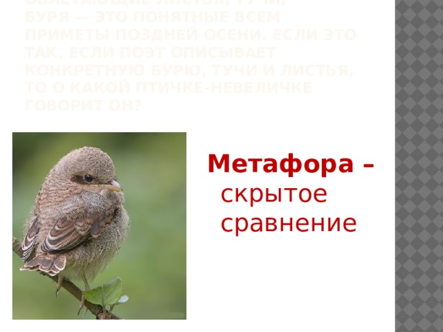 Облетающие листья, тучи, буря — это понятные всем приметы поздней осени. Если это так, если поэт описывает конкретную бурю, тучи и листья, то о какой птичке-невеличке говорит он? Метафора – скрытое сравнение 