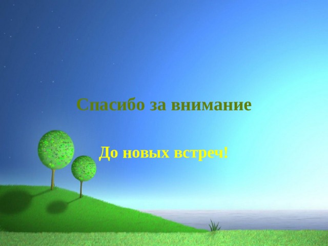 Спасибо за внимание До новых встреч! 