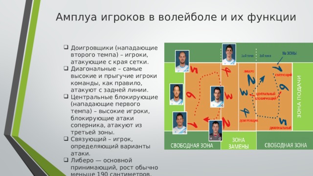 Амплуа игроков в волейболе и их функции  Доигровщики (нападающие второго темпа) – игроки, атакующие с края сетки. Диагональные – самые высокие и прыгучие игроки команды, как правило, атакуют с задней линии. Центральные блокирующие (нападающие первого темпа) – высокие игроки, блокирующие атаки соперника, атакуют из третьей зоны. Связующий – игрок, определяющий варианты атаки. Либеро — основной принимающий, рост обычно меньше 190 сантиметров.  