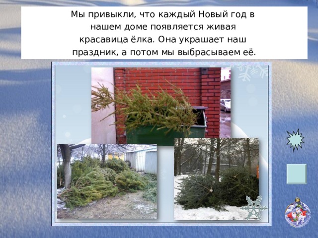 Мы привыкли, что каждый Новый год в нашем доме появляется живая красавица ёлка. Она украшает наш праздник, а потом мы выбрасываем её. 