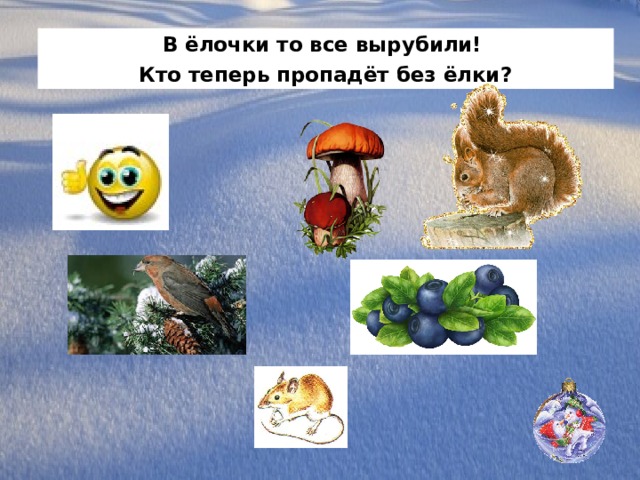 В ёлочки то все вырубили! Кто теперь пропадёт без ёлки? 