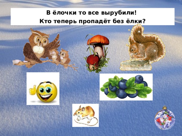 В ёлочки то все вырубили! Кто теперь пропадёт без ёлки? 