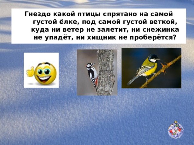Гнездо какой птицы спрятано на самой густой ёлке, под самой густой веткой, куда ни ветер не залетит, ни снежинка не упадёт, ни хищник не проберётся? 