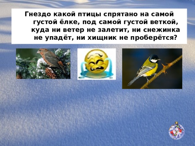 Гнездо какой птицы спрятано на самой густой ёлке, под самой густой веткой, куда ни ветер не залетит, ни снежинка не упадёт, ни хищник не проберётся? 