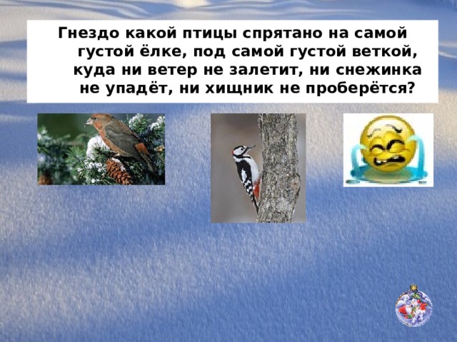 Гнездо какой птицы спрятано на самой густой ёлке, под самой густой веткой, куда ни ветер не залетит, ни снежинка не упадёт, ни хищник не проберётся? 