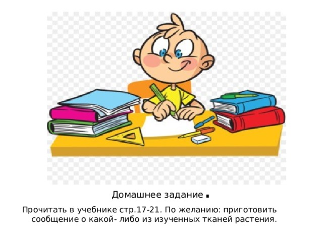 Домашнее задание .  Прочитать в учебнике стр.17-21. По желанию: приготовить сообщение о какой- либо из изученных тканей растения. 