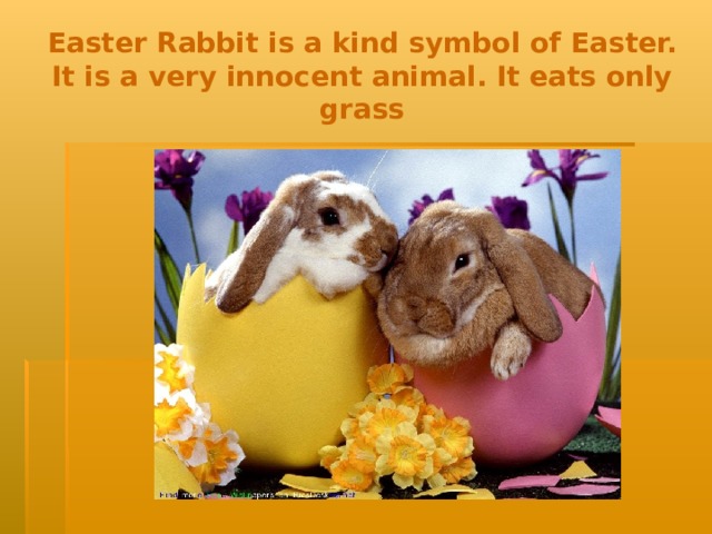 Easter Rabbit  is a kind symbol  of Easter. It is a very innocent animal. It eats only grass  