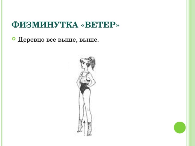 ФИЗМИНУТКА «ВЕТЕР» Деревцо все выше, выше.  