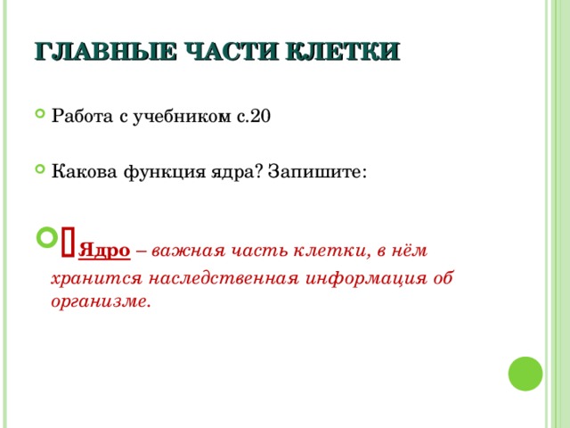 ГЛАВНЫЕ ЧАСТИ КЛЕТКИ Работа с учебником с.20  Какова функция ядра? Запишите:   Ядро – важная часть клетки, в нём хранится наследственная информация об организме. 