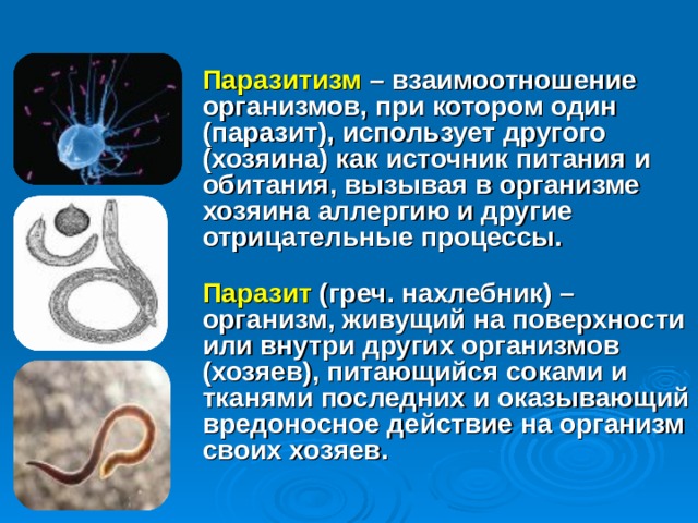 Паразитизм – взаимоотношение организмов, при котором один (паразит), использует другого (хозяина) как источник питания и обитания, вызывая в организме хозяина аллергию и другие отрицательные процессы. Паразит (греч. нахлебник) – организм, живущий на поверхности или внутри других организмов (хозяев), питающийся соками и тканями последних и оказывающий вредоносное действие на организм своих хозяев.  