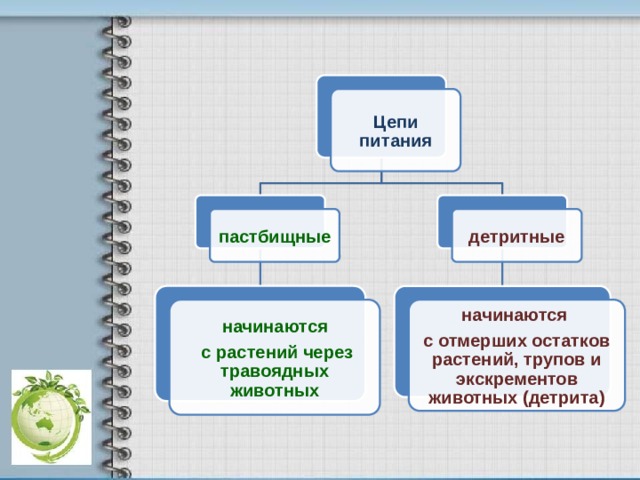    Цепи питания пастбищные детритные начинаются начинаются  с растений через травоядных животных с отмерших остатков растений, трупов и экскрементов животных (детрита) 11 