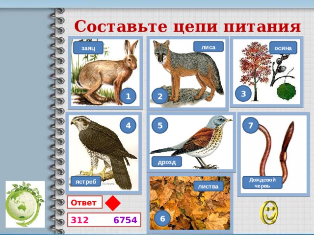Составьте цепи питания осина лиса заяц 3 1 2 4 5 7 дрозд ястреб Дождевой червь листва Ответ  6 312  6754 11 