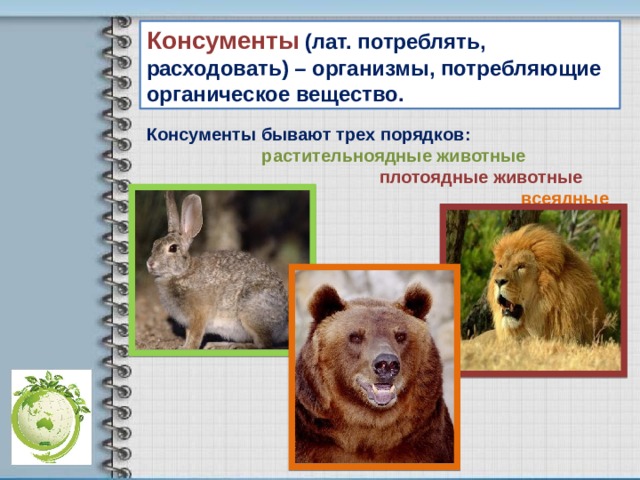 Консументы  (лат. потреблять, расходовать) – организмы, потребляющие органическое вещество. Консументы бывают трех порядков:  растительноядные животные  плотоядные животные  всеядные животные 