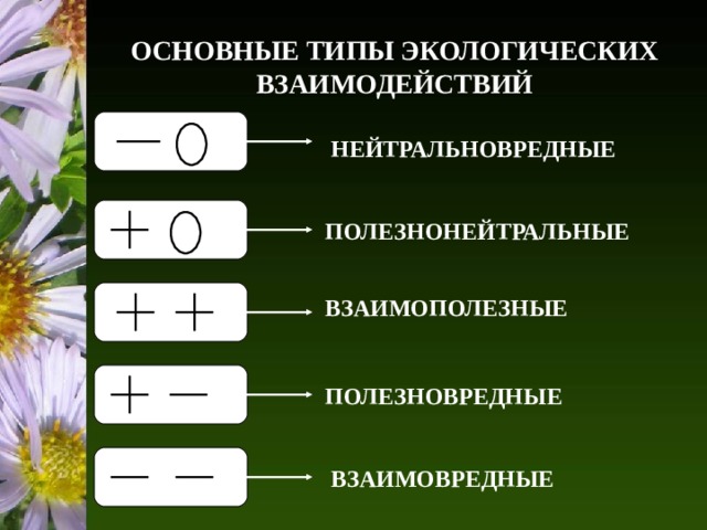 ОСНОВНЫЕ ТИПЫ ЭКОЛОГИЧЕСКИХ ВЗАИМОДЕЙСТВИЙ НЕЙТРАЛЬНОВРЕДНЫЕ ПОЛЕЗНОНЕЙТРАЛЬНЫЕ ВЗАИМОПОЛЕЗНЫЕ ПОЛЕЗНОВРЕДНЫЕ ВЗАИМОВРЕДНЫЕ 