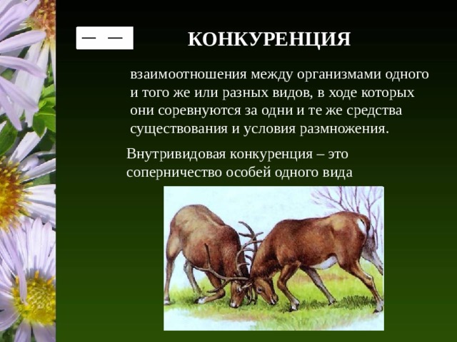 КОНКУРЕНЦИЯ взаимоотношения между организмами одного и того же или разных видов, в ходе которых они соревнуются за одни и те же средства существования и условия размножения. Внутривидовая конкуренция – это соперничество особей одного вида 