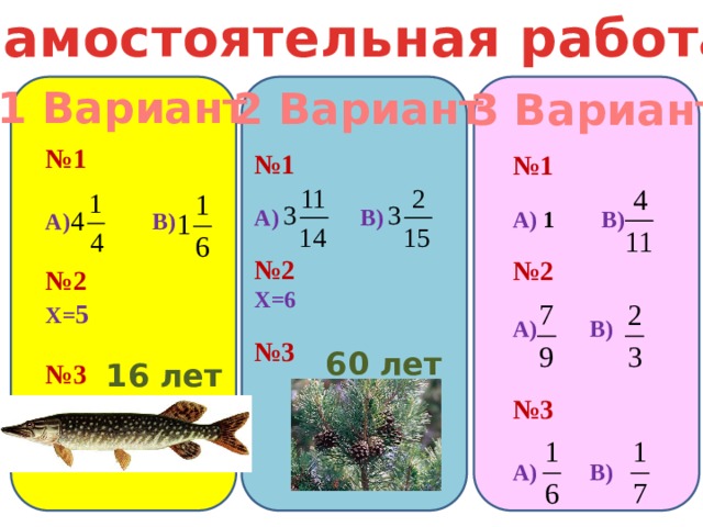 Самостоятельная работа 1 Вариант 2 Вариант 3 Вариант № 1  А) В)  № 2 Х= 5  № 3 № 1  А) В)  № 2 Х=6  № 3 № 1  А) 1 В)  № 2  А) В)   № 3  А) В) 60 лет 16 лет 