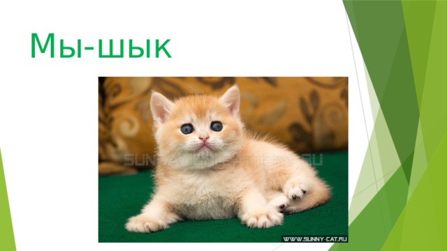 Мы-шык 